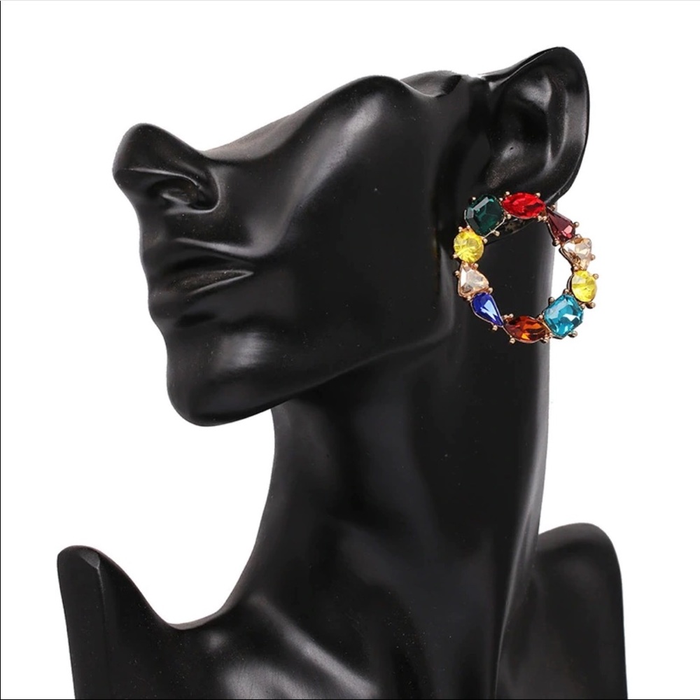 Luxe Circle Glam Earrings